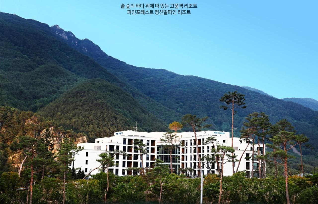 Pine Forest Jeongseon Alpine Resort Εξωτερικό φωτογραφία