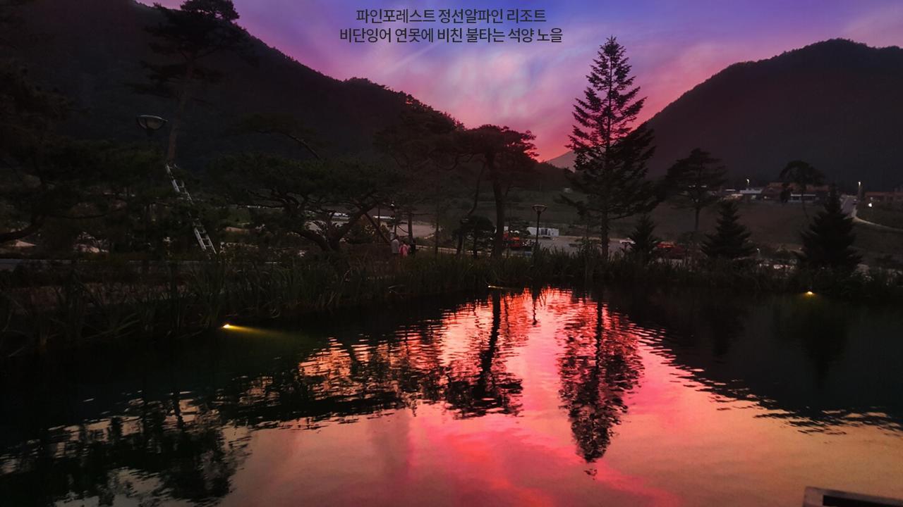 Pine Forest Jeongseon Alpine Resort Εξωτερικό φωτογραφία