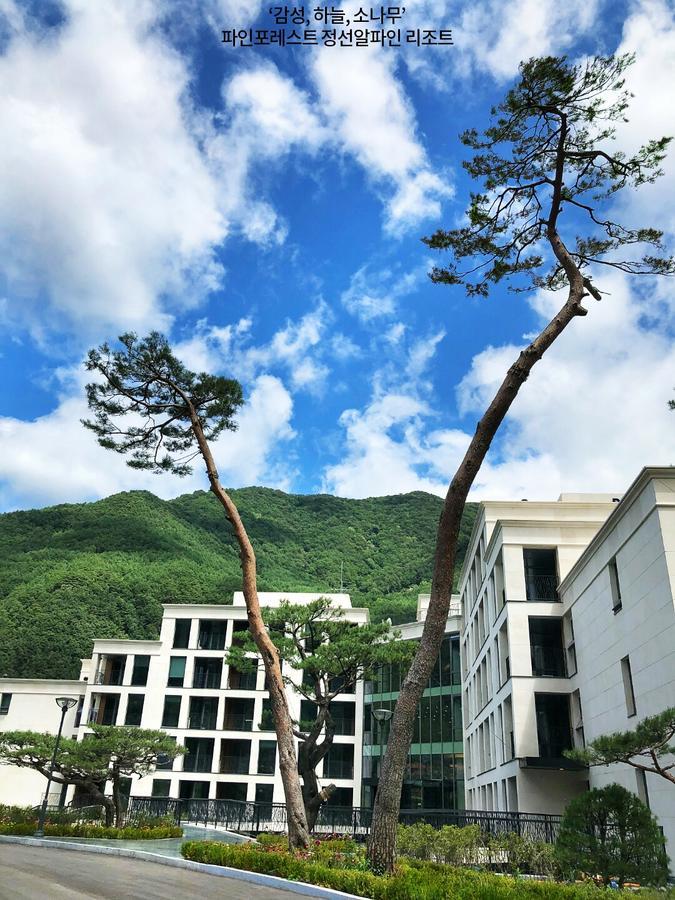 Pine Forest Jeongseon Alpine Resort Εξωτερικό φωτογραφία